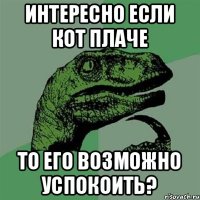 Интересно если Кот плаче То его возможно успокоить?