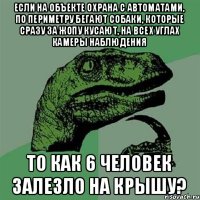 если на объекте охрана с автоматами, по периметру бегают собаки, которые сразу за жопу кусают, на всех углах камеры наблюдения то как 6 человек залезло на крышу?