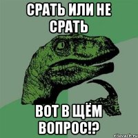 срать или не срать вот в щём вопрос!?