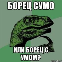 Борец сумо Или борец с умом?