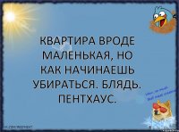 Квартира вроде маленькая, но как начинаешь убираться. Блядь. Пентхаус.