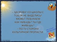 – Здорова! Со школы с тобой не виделись! Может побухаем как-нибудь? Ты где живёшь?
– По ту сторону культурной пропасти.