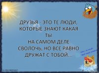 Друзья - это те люди, которые знают какая ты
на самом деле сволочь, но все равно дружат с тобой...