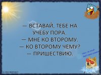 — Вставай, тебе на учебу пора.
— Мне ко второму.
— Ко второму чему?
— Пришествию.