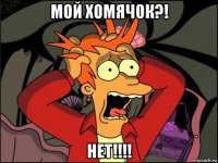 мой хомячок?! нет!!!!