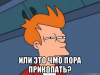  ИЛИ ЭТО ЧМО ПОРА ПРИКОПАТЬ?