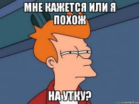 мне кажется или я похож на утку?