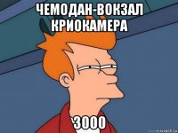 чемодан-вокзал криокамера 3000