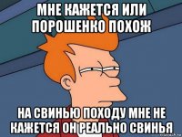 мне кажется или порошенко похож на свинью походу мне не кажется он реально свинья