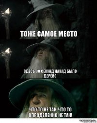 Тоже самое место Здесь 30 секунд Назад было дерево Что то не так. Что то опроделенно не так!