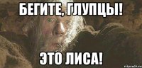 Бегите, глупцы! Это лиса!