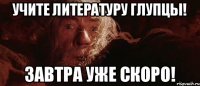 УЧИТЕ ЛИТЕРАТУРУ ГЛУПЦЫ! ЗАВТРА УЖЕ СКОРО!