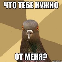 что тебе нужно от меня?