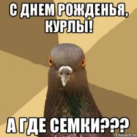 С днем рожденья, курлы! а где семки???