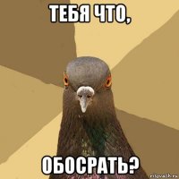 тебя что, обосрать?