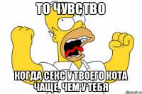 То чувство Когда секс у твоего кота чаще, чем у тебя