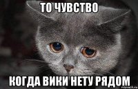 то чувство когда вики нету рядом