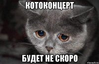 котоконцерт будет не скоро