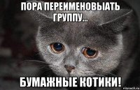 пора переименовыать группу... бумажные котики!