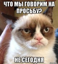 что мы говорим на просьбу? не сегодня