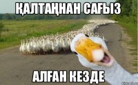 қалтаңнан сағыз алған кезде