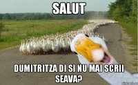 Salut Dumitritza di si nu mai scrii seava?