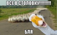 все в столовку!!!!!!!!! бля