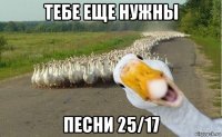 тебе еще нужны песни 25/17