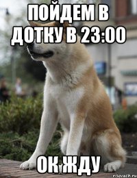 Пойдем в дотку в 23:00 Ок жду