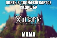 Опять в своём Хогвартсе сидишь? МАМА