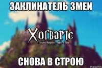 Заклинатель змеи снова в строю