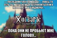 — последний член команды — ловец. то есть ты. и тебе не надо беспокоиться ни о квоффле, ни о бладжерах... — пока они не пробьют мне голову...