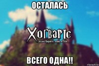 осталась всего одна!!