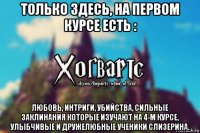 только здесь, на первом курсе есть : любовь, интриги, убийства, сильные заклинания которые изучают на 4-м курсе, улыбчивые и дружелюбные ученики слизерина.