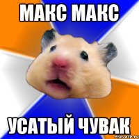 МАКС МАКС УСАТЫЙ ЧУВАК