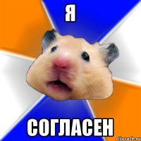 Я согласен