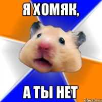 Я хомяк, А ты нет