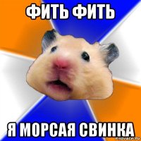 фить фить я морсая свинка