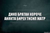 дико братан короче анякта биреу тисип жатр