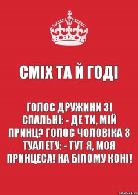 Сміх та й годі Голос дружини зі спальні: - Де ти, мій принц? Голос чоловіка з туалету: - Тут я, моя принцеса! На білому коні!