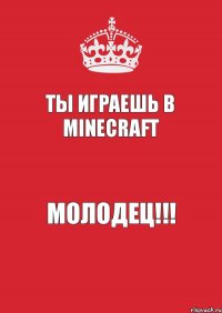 Ты играешь в Minecraft Молодец!!!