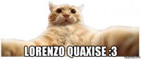  lorenzo quaxise :3
