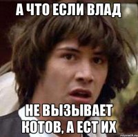 А что если Влад Не вызывает котов, а ест их