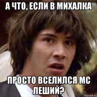 а что, если в михалка просто вселился mc леший?