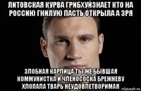 литовская курва грибхуйзнает кто на россию гнилую пасть открыла а зря злобная карлица ты же бывшая коммунистка и членососка брежневу хлопала тварь неудовлетворимая