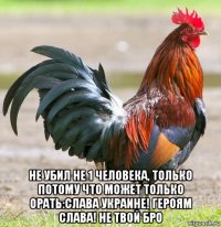  Не убил не 1 человека, только потому что может только орать:Слава Украине! Героям слава! не твой бро