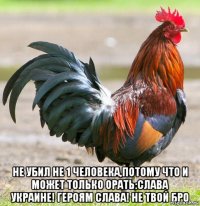  Не убил не 1 человека,потому что и может только орать:Слава Украине! Героям слава! не твой бро