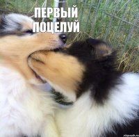 Первый поцелуй