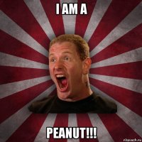 i am a peanut!!!