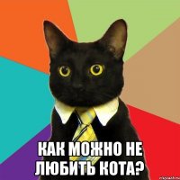  Как можно не любить кота?